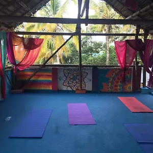 Guest house Mk Gardens Surf & Yoga House, Varkala